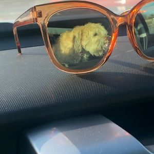 Meet your Posher, Jade